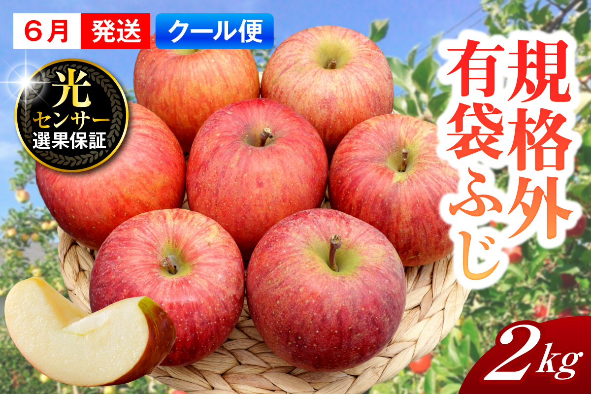 ã2026幎6æäžæ¬çºéããèŠæ Œå€ã ããã æè¢ãµã çŽ2kg ã¹ããŒããã¬ãã·ã¥â¢è²¯èµ ãŸã㯠CAè²¯èµ ãã¯ãŒã«äŸ¿ã 鿣®çç£