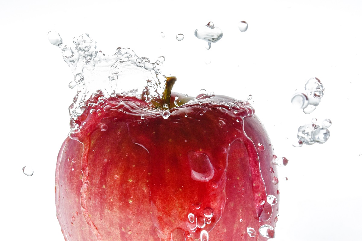 ã2026幎9æçºéããç¹éžãããã çŽ3kg ãµã³ã€ãã 鿣®çç£ãã¯ãŒã«äŸ¿ã
