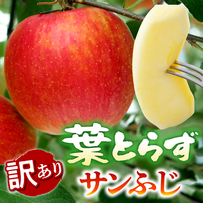 【2026年12月後半発送】【訳あり】 りんご 約10kg サンふじ 葉とらず 青森産
