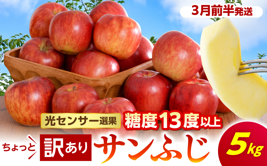 【2027年3月前半発送】 りんご 約5kg サンふじ 【ちょっと訳あり】 青森県産