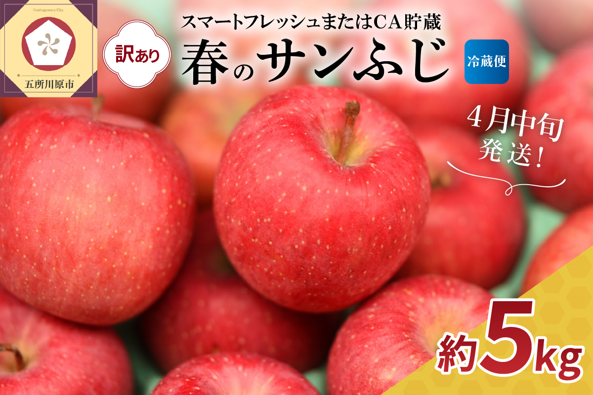 【2026年4月中旬発送】【訳あり】サンふじ 約5kg【スマートフレッシュ貯蔵またはCA貯蔵・クール便】