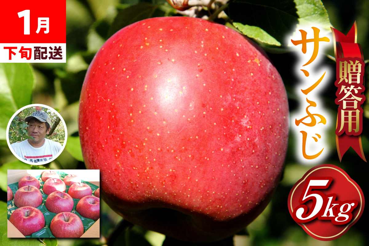 [2026年1月下旬発送]≪ 贈答用 ≫ りんご 約 5kg サンふじ りんご品評会金賞受賞歴あり! 青森県 五所川原市