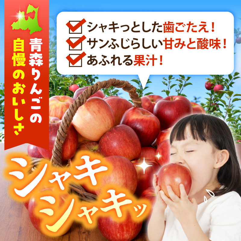 【2026年11月後半発送】【訳あり】 りんご 約10kg サンふじ 葉とらず 青森産