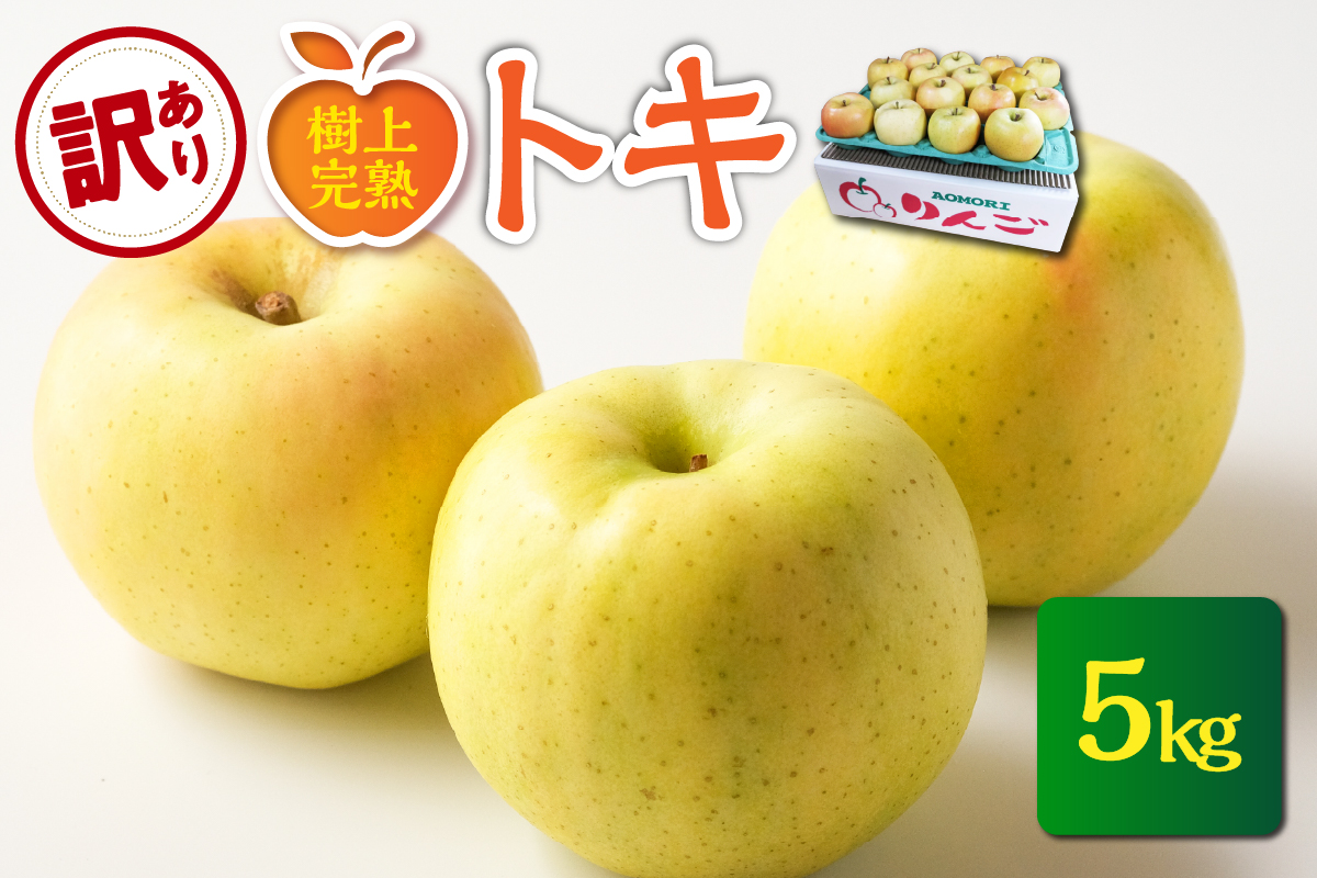 【2026年10月発送】【樹上完熟】訳あり 青森りんご 約5kg トキ 青森県五所川原市 りんご