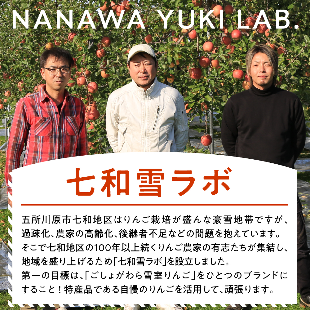 縲先焚驥城剞螳壹 髮ェ螳、繧翫s縺 繧オ繝ウ縺オ縺 邏2kg縲2026蟷エ3譛磯谺。逋コ騾√ 髱呈」ョ 繧翫s縺 繝ェ繝ウ繧エ 譫玲ェ 2繧ュ繝ュ 雍育ュ 縺オ縺倥j繧薙# 莠疲園蟾晏次