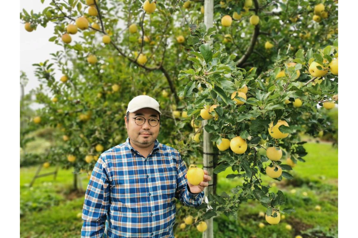 りんごジュース 100％ 青森 ストレート 果汁 180ml×3本 「平安の御所」【 着色料不使用 自然の色 すっきり さっぱり フルーツジュース 贈答 果肉まで赤いりんご「御所川原」使用 りんご ジュース 瓶 】 青森県 五所川原市
