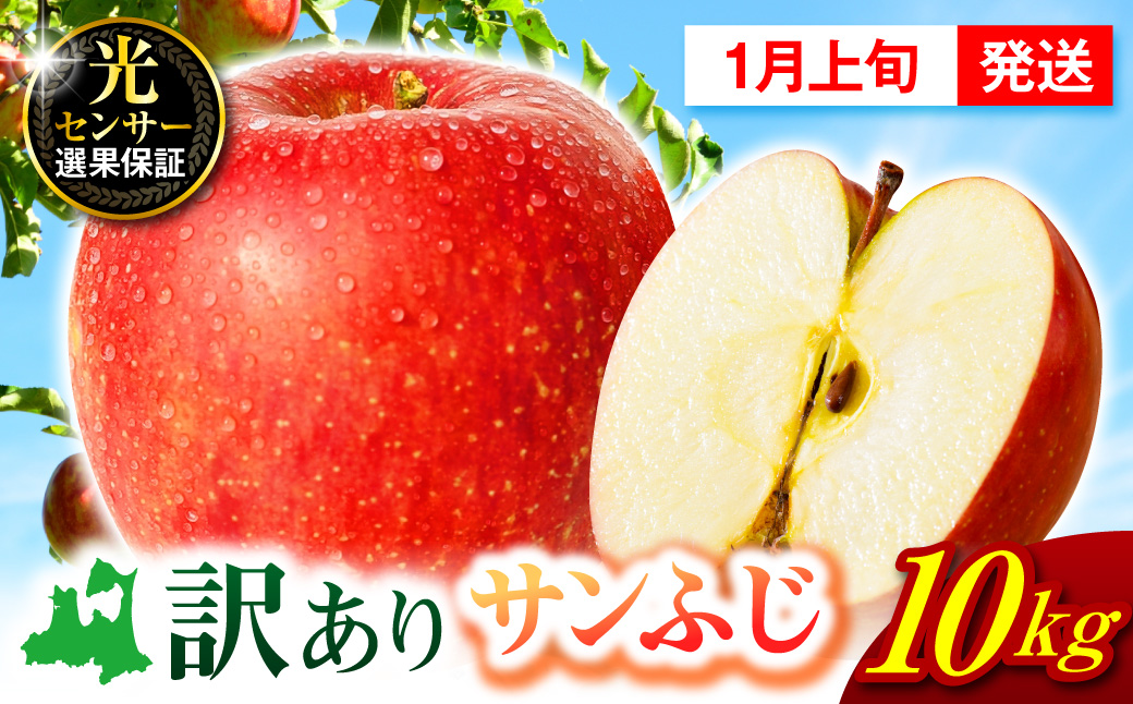 【2027年1月上旬発送】 サンふじ 青森 訳あり りんご 10kg 程度 五所川原 不揃い