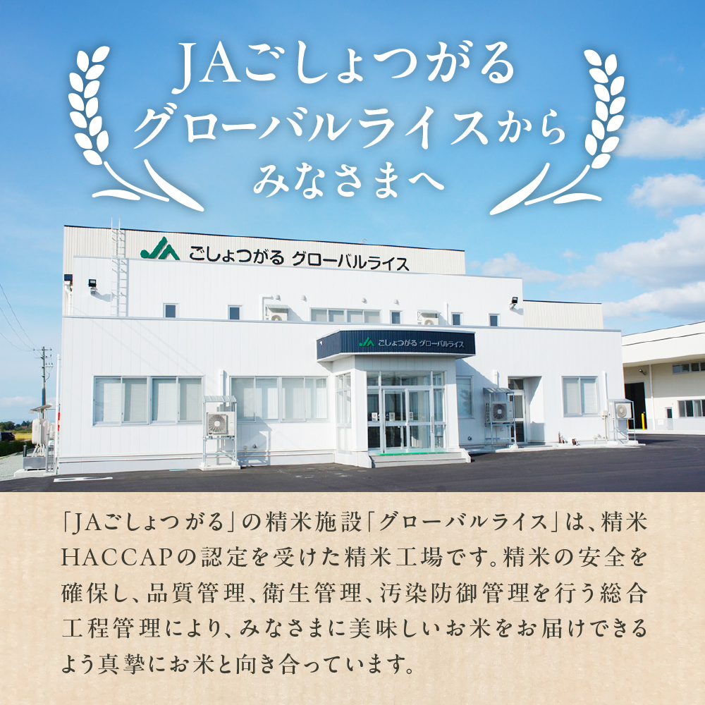 縲1譛亥燕蜊顔匱騾√醍┌豢礼アウ 5kg 縺セ縺」縺励$繧 髱呈」ョ逵檎肇 縲千アウ 逋ス邀ウ 5繧ュ繝ュ JA縺斐@繧縺、縺後k縲 髱呈」ョ逵 莠疲園蟾晏次蟶
