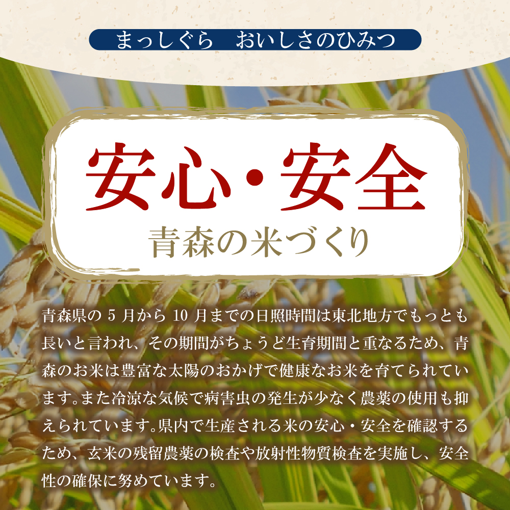 【定期便隔月6回】令和7年産 米 5kg まっしぐら 青森県産 （精米）