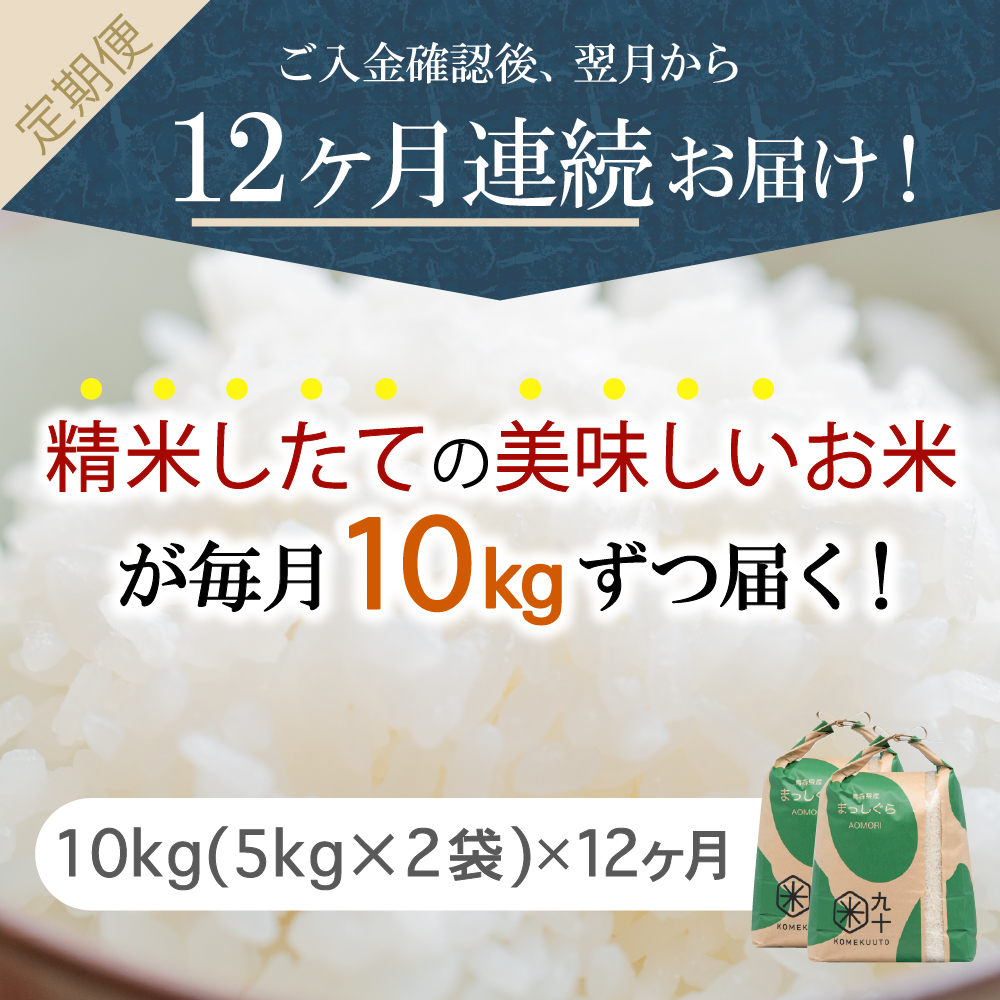 縲仙ョ壽悄萓ソ12繝カ譛医台サ、蜥7蟷エ逕」 邀ウ 10kg 縺セ縺」縺励$繧 髱呈」ョ逵檎肇 シ育イセ邀ウ繝サ5kgテ2シ