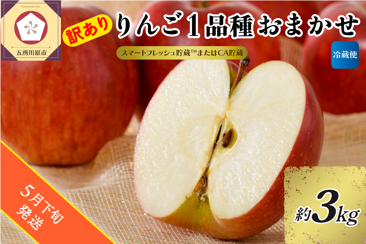 【2026年5月下旬発送】【訳あり】りんご 約3kg 青森産 【おまかせ1品種】【スマートフレッシュ貯蔵またはCA貯蔵・クール便】