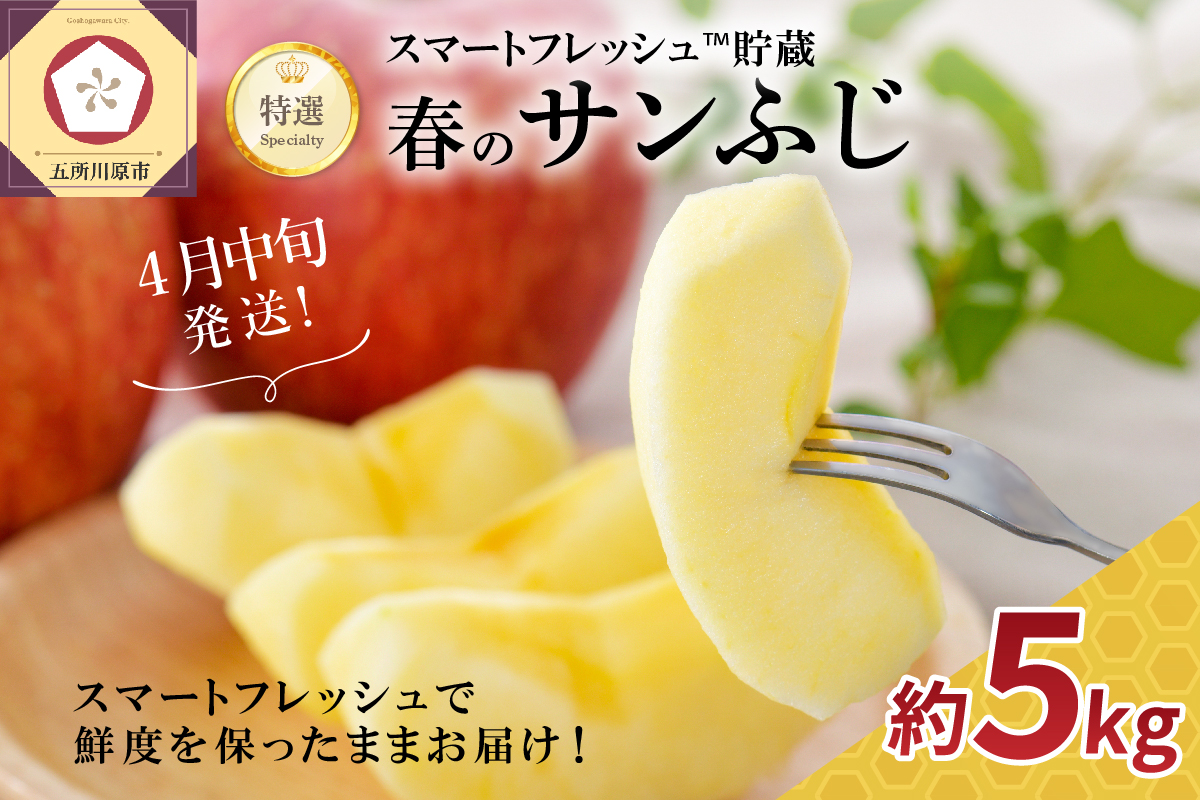【2026年4月中旬発送】春のサンふじ りんご 約5kg 【特選】 スマートフレッシュTM貯蔵 贈答用 青森県産
