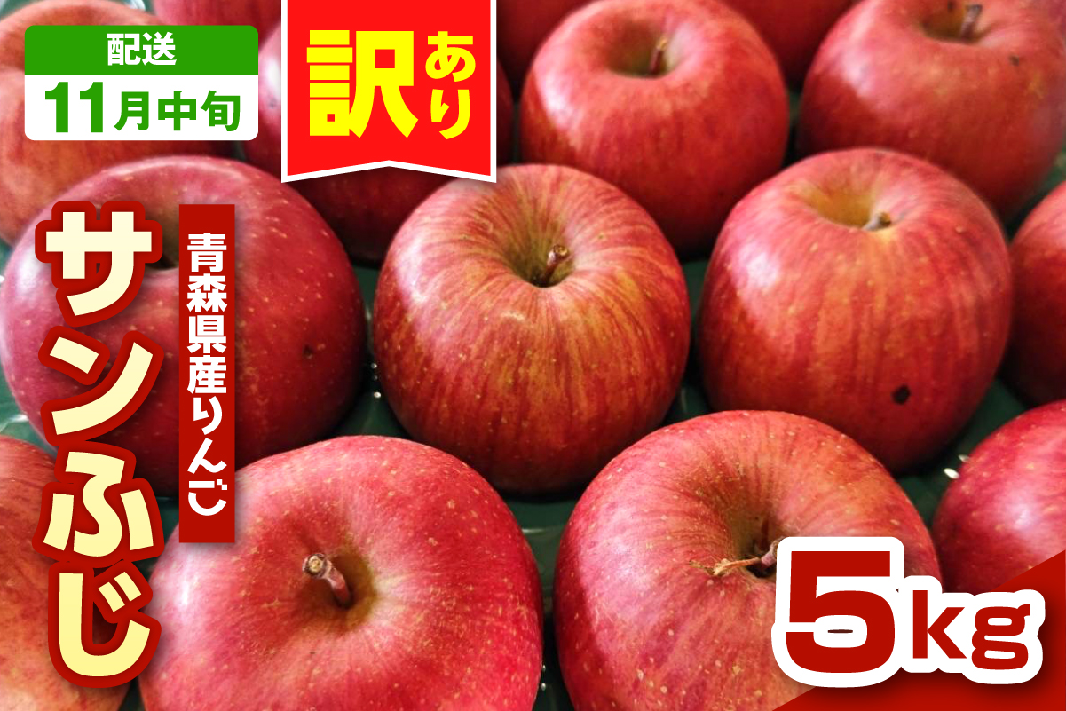 【2026年11月中旬発送】りんご　青森 サンふじ 5kg 程度 《 訳あり 》 農家直送 サンフジ 青森県 五所川原市
