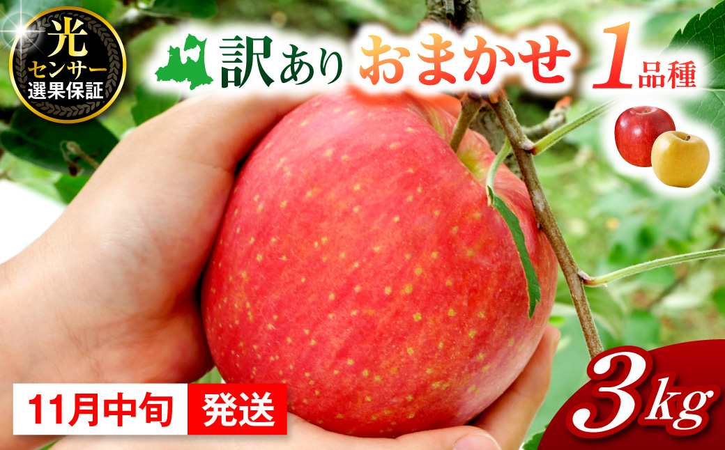 【2026年11月中旬発送】おまかせ 訳ありりんご 約 3kg 青森