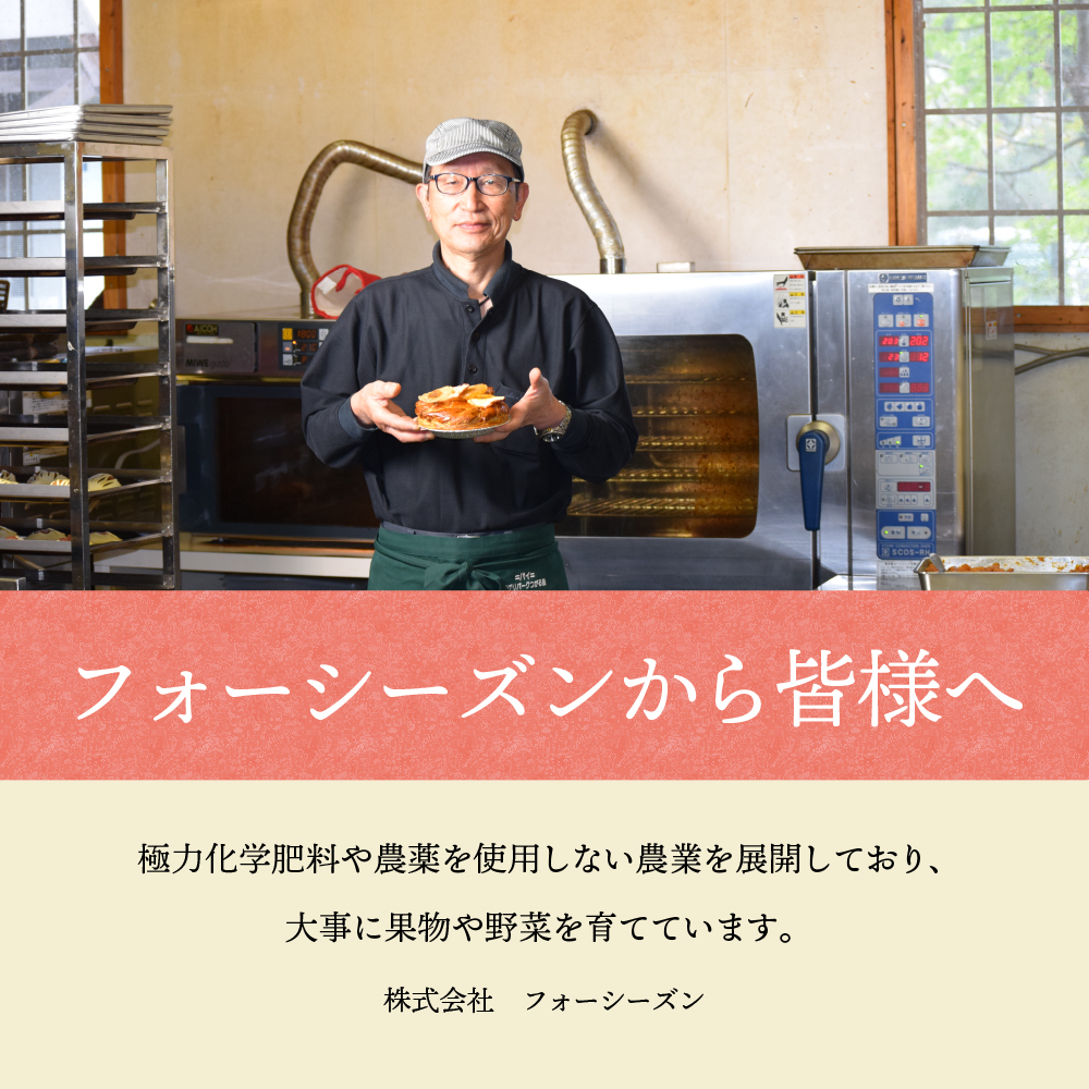 アップルパイ　（ラージ・ホール16cm）　青森 りんご 青森のアップルパイ 五所川原市