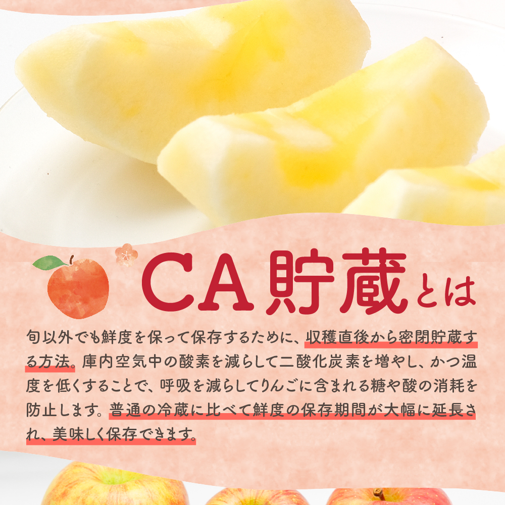 【2026年5月上旬発送】【訳あり】 りんご 有袋ふじ 3kg ( スマートフレッシュTM貯蔵 又は CA貯蔵 ・ クール便 ) 