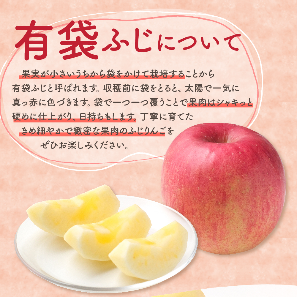 【2026年5月上旬発送】【訳あり】 りんご 有袋ふじ 3kg ( スマートフレッシュTM貯蔵 又は CA貯蔵 ・ クール便 ) 