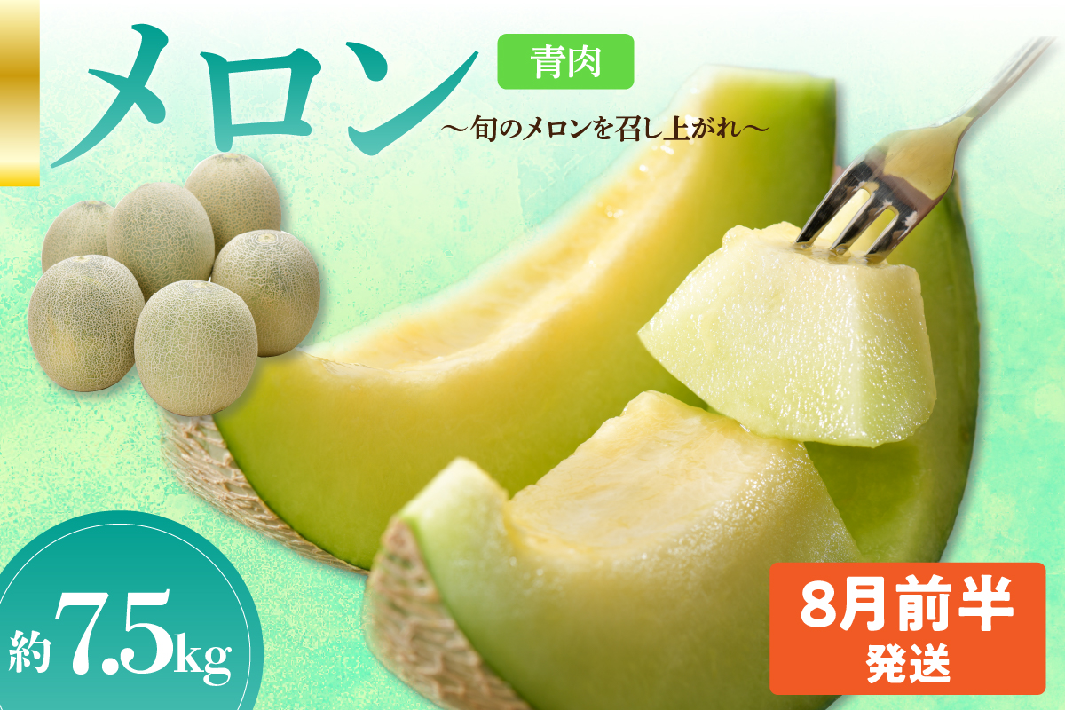 先行予約【2026年8月前半発送】【秀～優品】津軽平野のメロン 約7.5kg程度(青肉)【青森メロン】