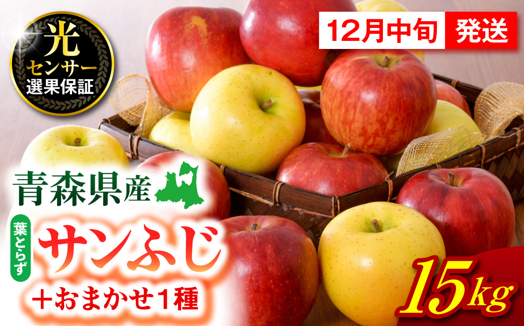 【2026年12月中旬発送】  りんご 15kg 詰め合わせ 計2種(葉とらず サンふじ と 他1種)