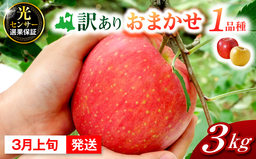 【2027年3月上旬発送】おまかせ 訳ありりんご 約 3kg 青森