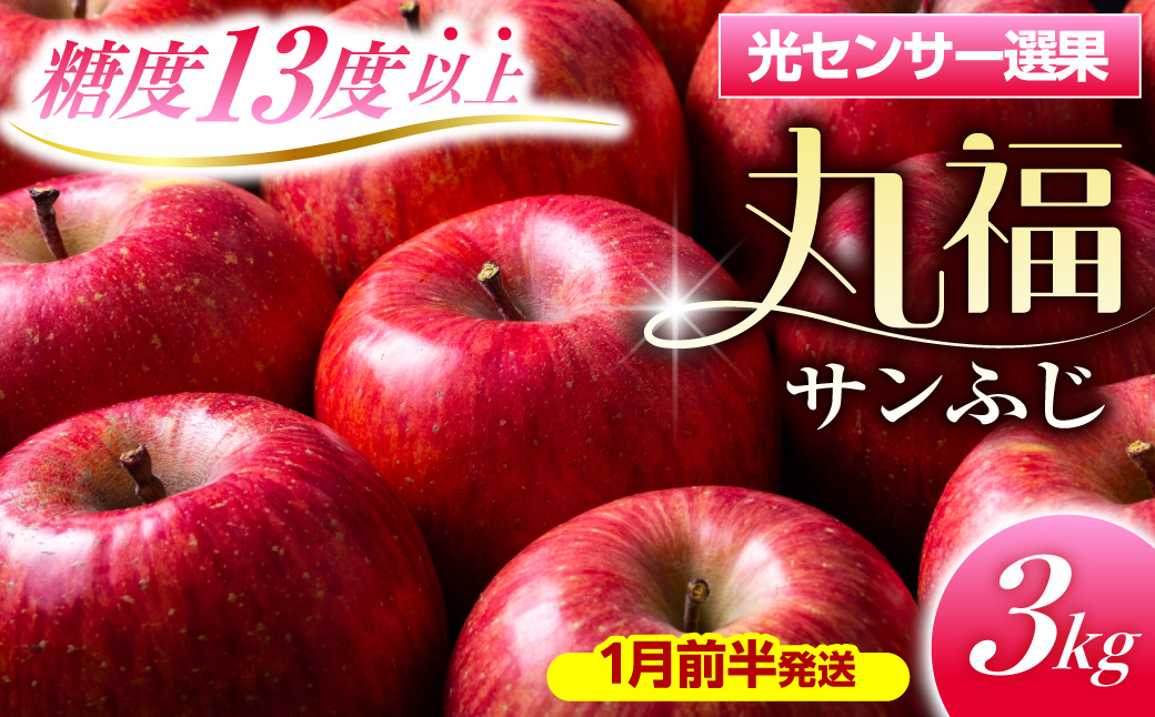 【2027年1月前半発送】 りんご 約3kg ≪丸福≫ サンふじ 【光センサー選果 糖度13度以上】 青森県産