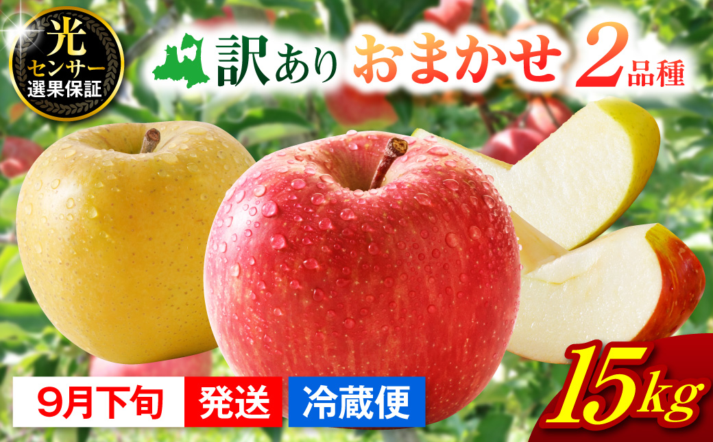 【2026年9月下旬発送】 【訳あり】 旬の美味しいりんご 約15kg青森産 【おまかせ2品種】