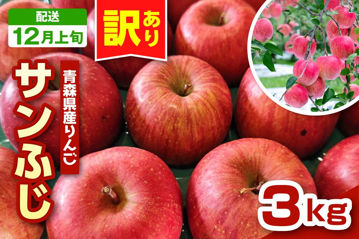 【2026年12月上旬発送】りんご　青森 サンふじ 3kg 程度 《 訳あり 》 農家直送 サンフジ 青森県五所川原市
