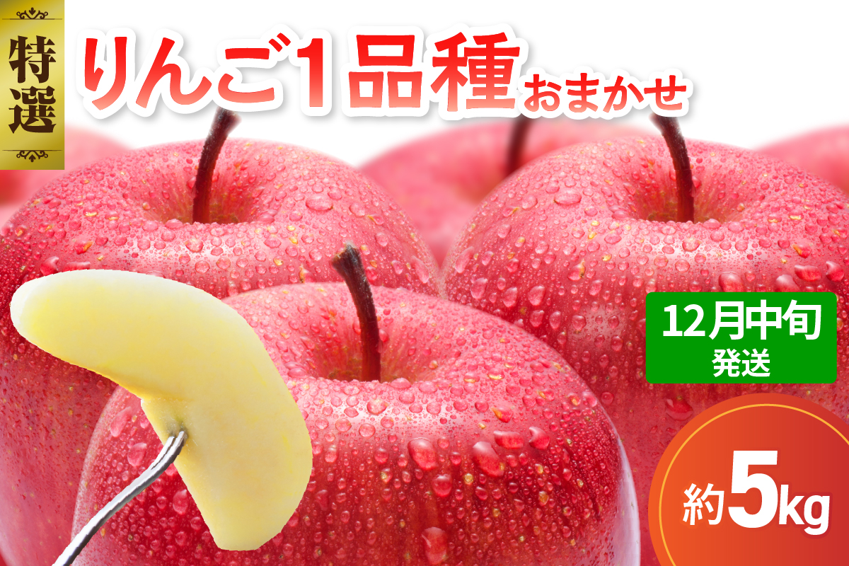 【2026年12月中旬発送】 【特選】 旬の美味しい りんご 約5kg 青森産 【おまかせ1品種】