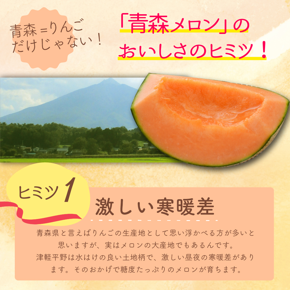 【2026年8月前半発送】【訳あり】 メロン 赤肉 2玉 (2.5kg程度) 青森県産
