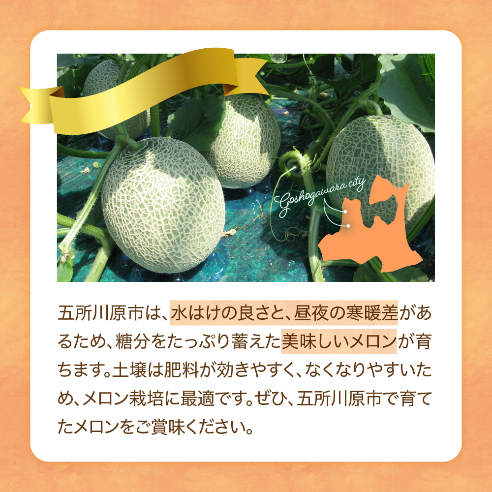 縲2026蟷エ8譛井ク頑流逋コ騾√代Γ繝ュ繝ウ2邇牙・繧 螟ァ邇 雍育ュ碑ヲ乗シ 髱呈」ョ繝。繝ュ繝ウ 豢・霆ス逕」