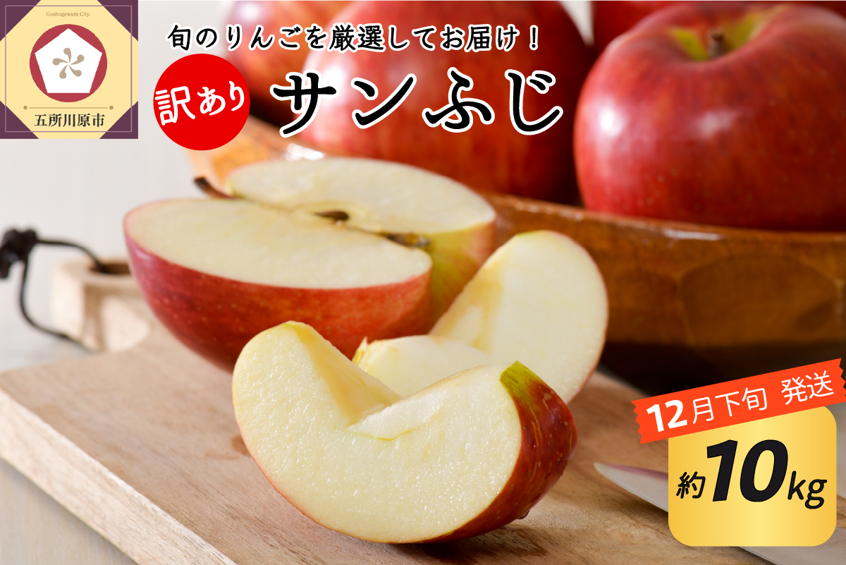 【2025年12月下旬発送】 【訳あり】 りんご 約10kg サンふじ 青森産