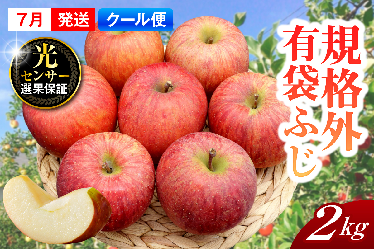 ã2026幎7æäžæ¬çºéããèŠæ Œå€ã ããã æè¢ãµã çŽ2kg ã¹ããŒããã¬ãã·ã¥â¢è²¯èµ ãŸã㯠CAè²¯èµ ãã¯ãŒã«äŸ¿ã 鿣®çç£