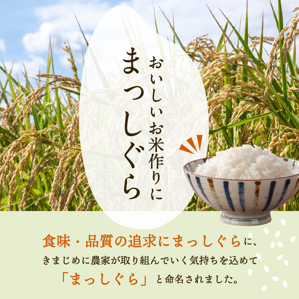 ãå®æäŸ¿ 3ã¶æã ç¡æŽç±³ 10kg 鿣®çç£ ãŸã£ããã 什å7å¹Žç£ ïŒç²Ÿç±³ïŒ ç±³ ãã ã³ã¡ ãã¯ã ã飯 鿣®ç äºæå·ååž