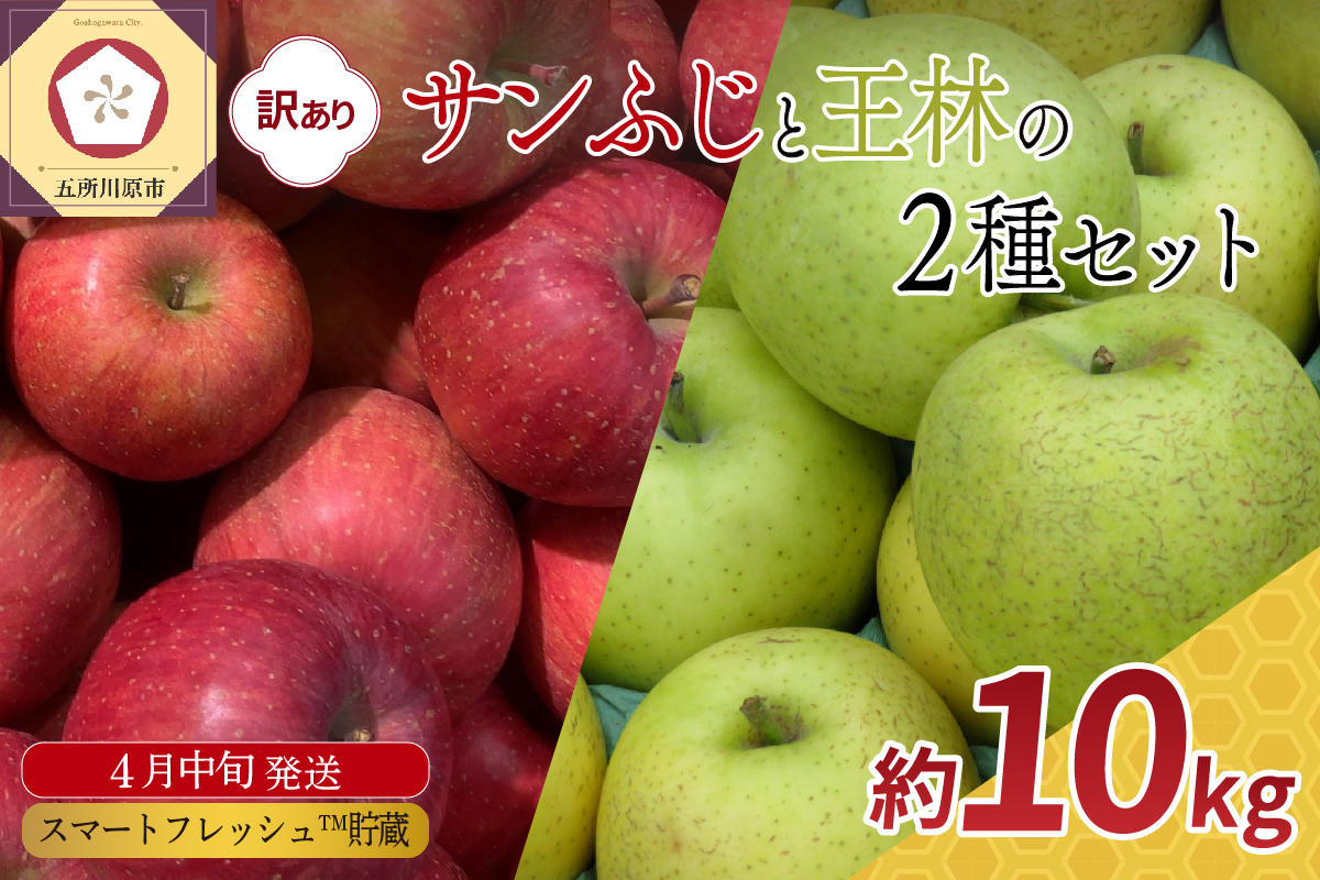 りんご 【2026年4月中旬発送】 訳あり 約10kg 春の サンふじ 王林 スマートフレッシュTM貯蔵