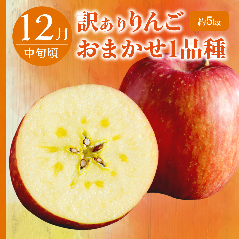 【9月発送開始】 フルーツ定期便 3回 【訳あり】 りんごづくしセット