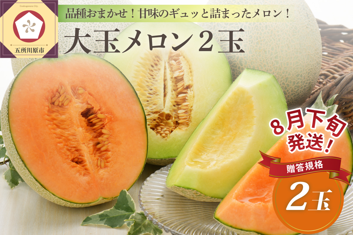 【2026年8月下旬発送】メロン2玉入り 大玉 贈答規格 青森メロン 津軽産