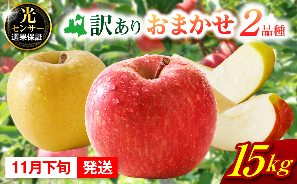 【2026年11月下旬発送】 【訳あり】 旬の美味しいりんご 約15kg青森産 【おまかせ2品種】