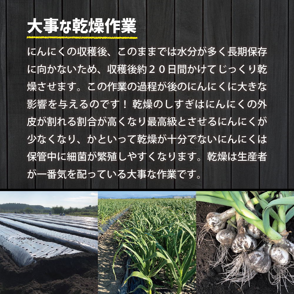 青森県産にんにく ホワイト六片 バラ 500g