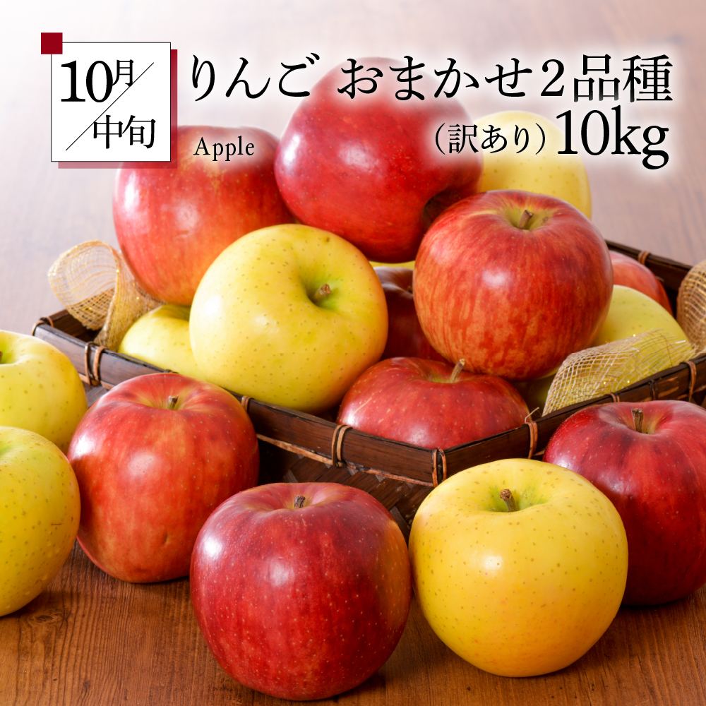 ã8æçºééå§ããã«ãŒãå®æäŸ¿ 5å ãããã¢ãªã¢ãªã»ãããèš³ãããã¡ãã³ ãã¹ã«ãã ããã