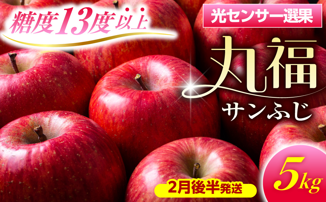 【2027年2月後半発送】 りんご 約5kg ≪丸福≫ サンふじ 【光センサー選果 糖度13度以上】 青森県産