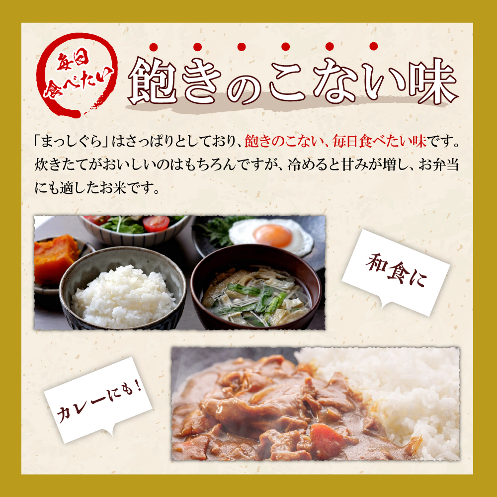 【定期便隔月3回】令和7年産 米 5kg まっしぐら 青森県産 （精米）