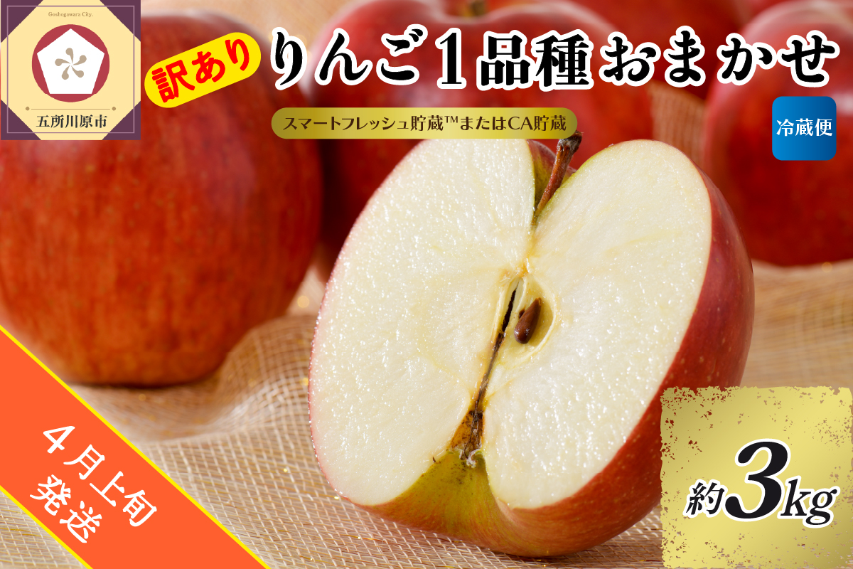 【2026年4月上旬発送】【訳あり】りんご 約3kg 青森産 【おまかせ1品種】【スマートフレッシュ貯蔵またはCA貯蔵・クール便】