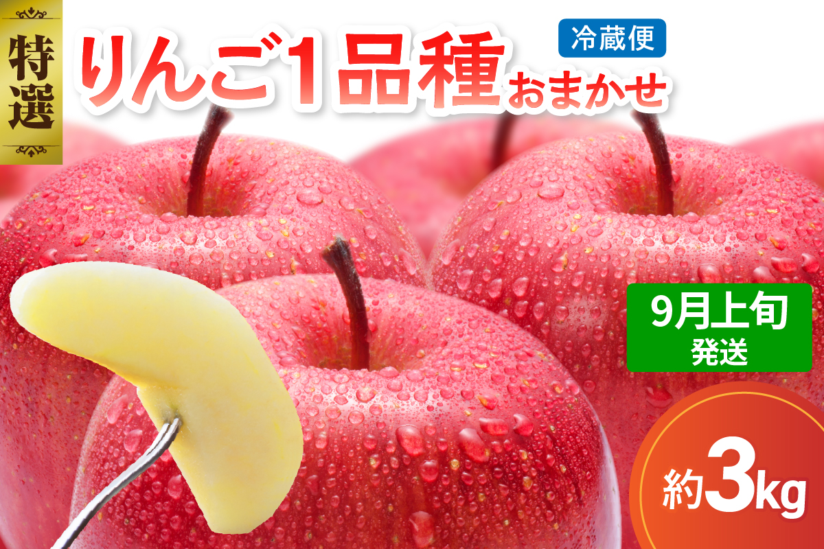 【2026年9月上旬発送】【特選】 旬の美味しい りんご 約3kg 青森産 【おまかせ1品種】