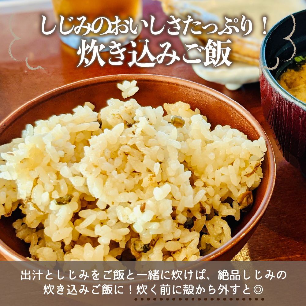 津軽十三湖産 大粒しじみ 800g（冷凍・砂抜き済）青森県 五所川原市