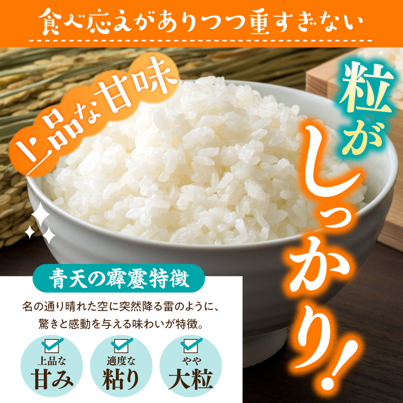 莉、蜥7蟷エ逕」 邀ウ 5kg 髱貞、ゥ縺ョ髴ケ髱 シ育イセ邀ウシ 髱呈」ョ逵檎肇 迚ケA 繝悶Λ繝ウ繝 邀ウ 縲 髱呈」ョ逵 莠疲園蟾晏次蟶 逋ス邀ウ 縺顔アウ 繧ウ繝。 縺薙a 5繧ュ繝ュ 縲