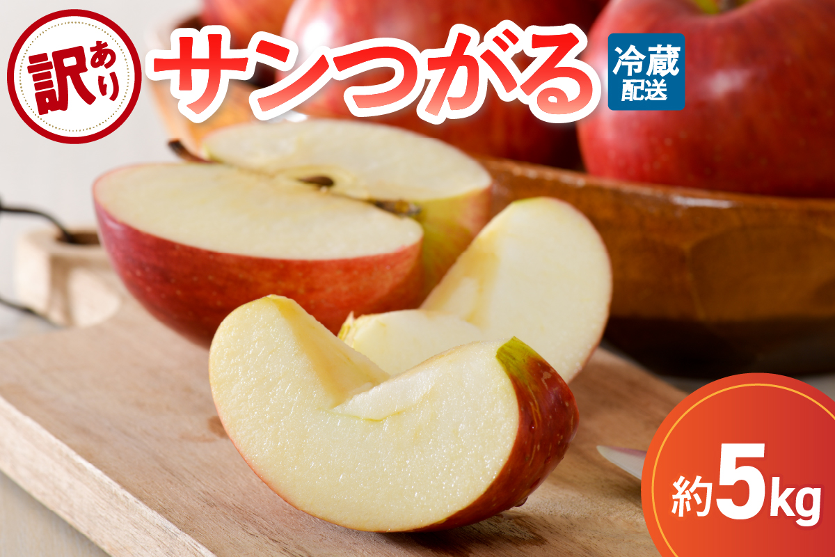 【2026年9月発送】 【訳あり】りんご サンつがる 約5kg 青森産 【クール便】