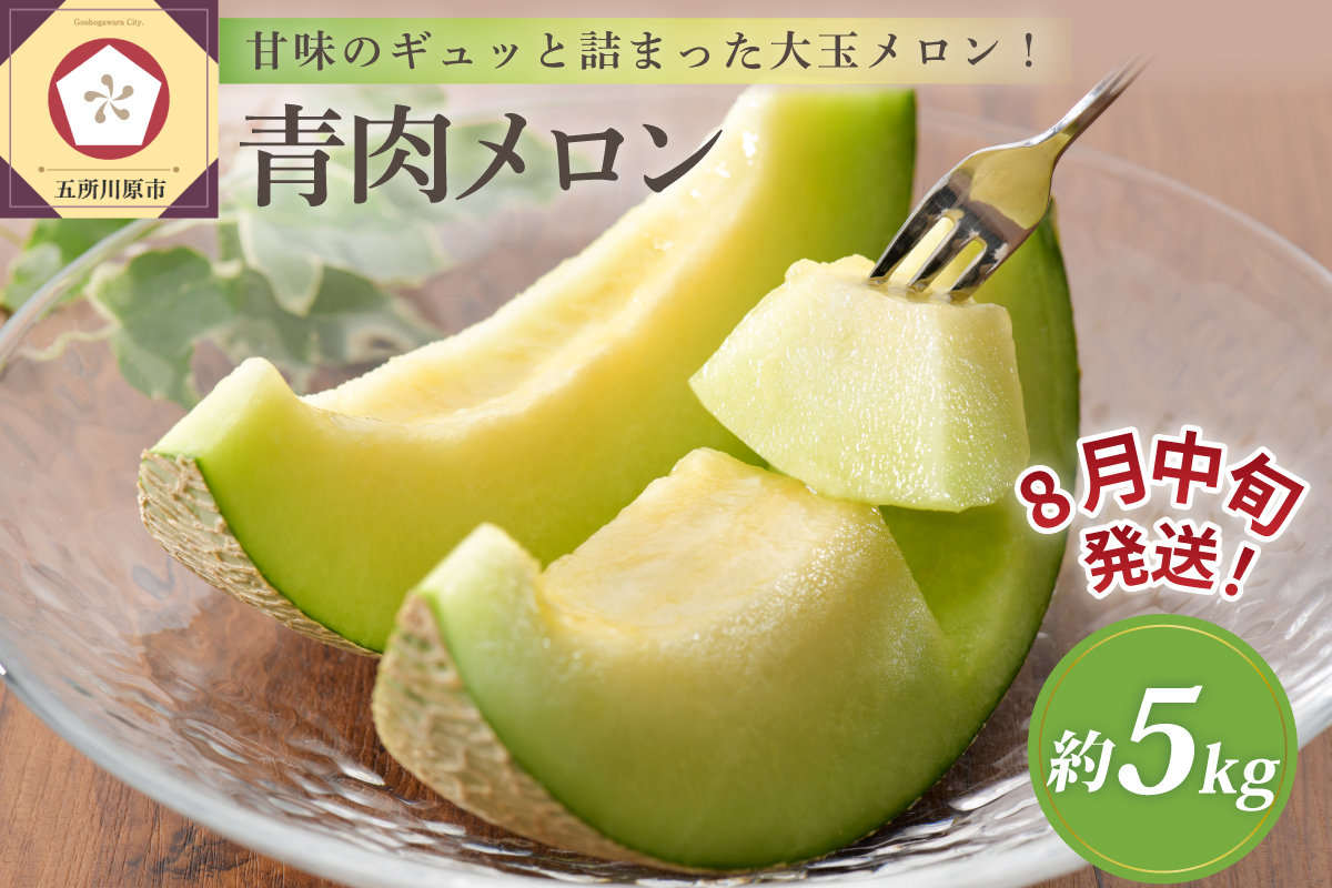 【2026年8月中旬発送】メロン 青肉 約5kg (3～6玉) 家庭用 津軽産