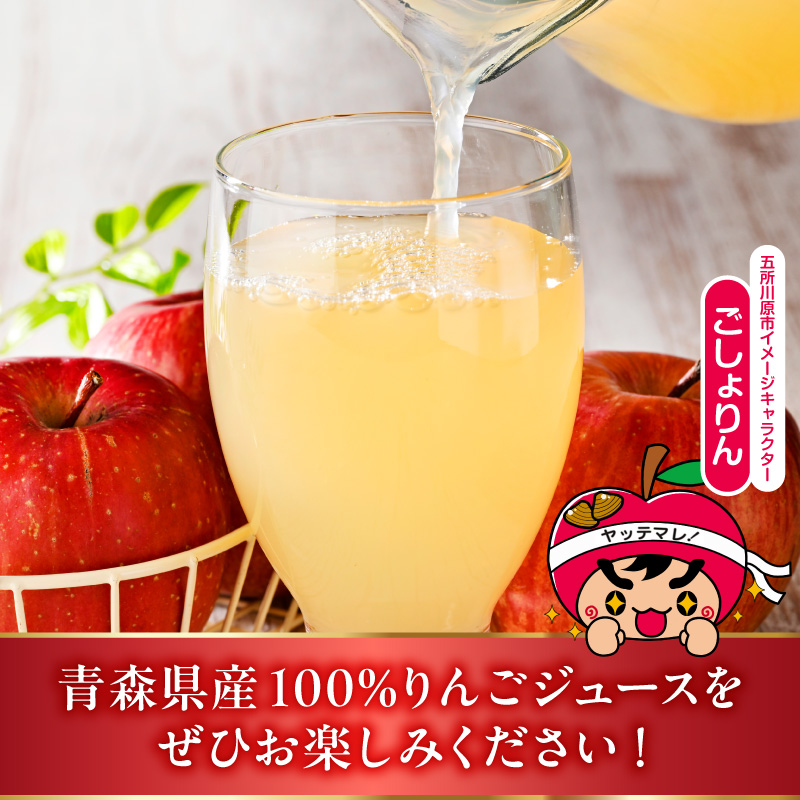 青森県産完熟100％りんごジュース 1L×12本 (6本×2箱) 青森 完熟リンゴ果汁100％ 品種ブレンド