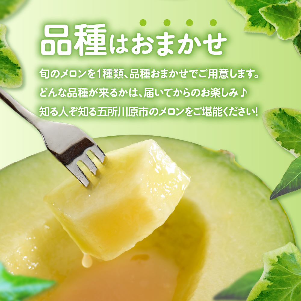 【2026年8月上旬発送】メロン 青肉 約5kg (3～6玉) 家庭用 津軽産