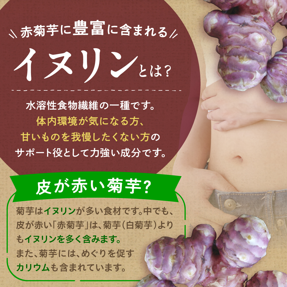 赤菊芋 パウダー 100g 【赤キクイモ粉末食品】 菊芋 キクイモ きくいも 赤キクイモ 赤きくいも